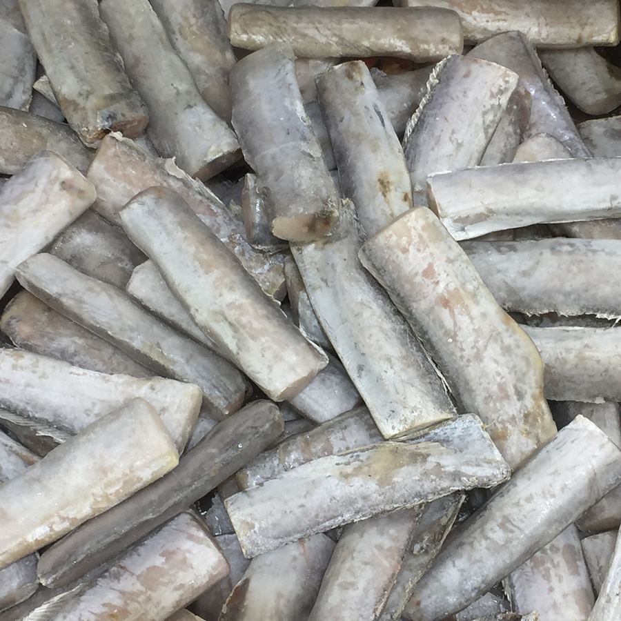 Pangasius portions ready for breaded pangasius supplier line