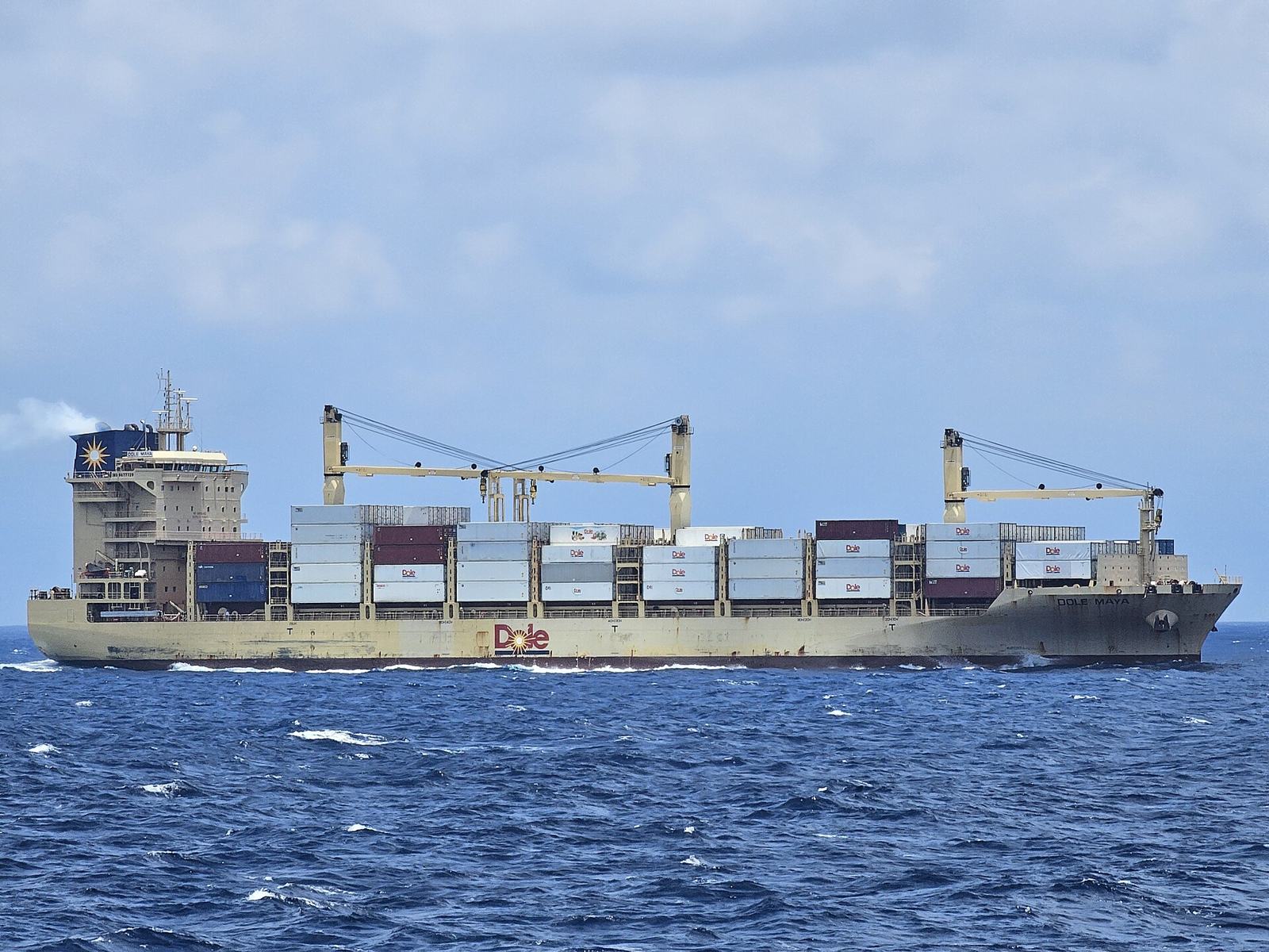 Reefer container ship carrying frozen seafood at -18 degrees